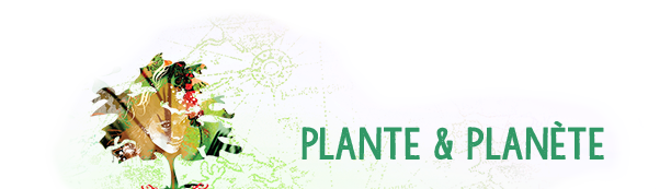 Plante et Planète